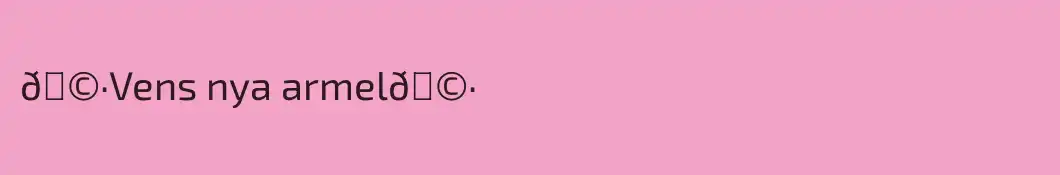 🩷Vens nya armel🩷